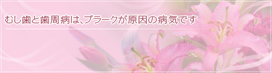 むし歯と歯周病は、プラークが原因の病気です